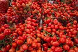 沈阳阳性圣女果已致11人感染