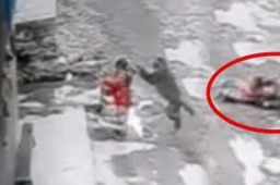 3岁女童家门口玩耍被野猴拖走