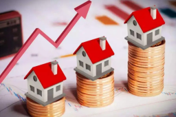 吴晓求：房价太高让年轻人很有压力