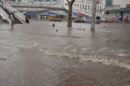 河南暴雨 南阳临街商铺被淹