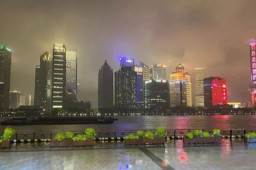 上海外滩长草？记者连夜去看了