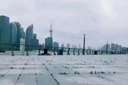 辟谣外滩长草被质疑 官方再回应