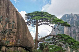 假期的黄山空荡荡