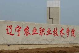 辽宁一学校7天新增298例感染者