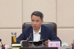 突然辞职的市长被查 曾徒手擒歹徒