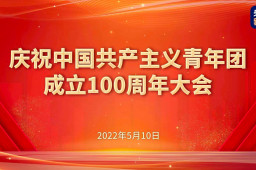 庆祝共青团成立100周年大会