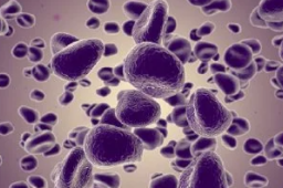 加拿大发现7例严重儿童肝炎