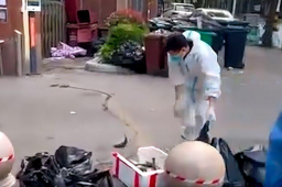 团长摔死活鱼 居委会:报备是冷鲜鱼