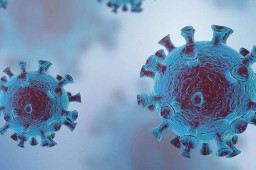 朝鲜出现奥密克戎毒株感染病例