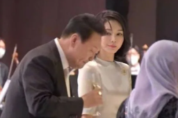 夫人锐利一眼 韩总统放下酒杯