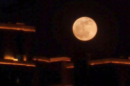 多地网友晒巨大圆月