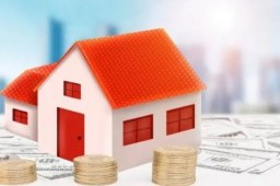 专家回应不建议掏空6个钱包凑首付