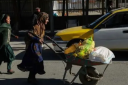 联合国：17亿人或面临粮食危机