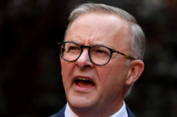 阿尔巴尼斯将成为澳大利亚新任总理