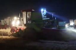 连夜抢收小麦的画面好震撼