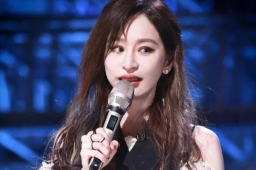 王心凌二公个人喜爱度第一