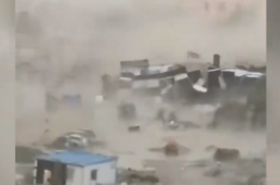 呼和浩特遇极端大风：大树连根拔起