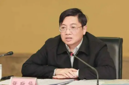 江苏省委原副书记张敬华被逮捕