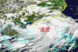 台风“暹芭”登陆广东电白