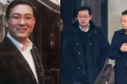 董卿丈夫公司被强制执行超7亿