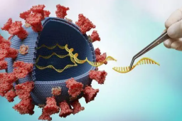 奥密克戎第二代变种未来或起新疫情