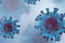 BA.5或“重拾”肺部感染能力