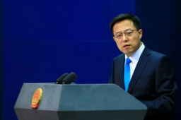 赵立坚回应中国网民议论安倍中枪