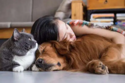 中国一人户家庭超1.25亿户