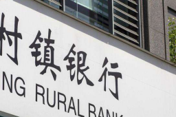 河南：对村镇银行客户本金先行垫付