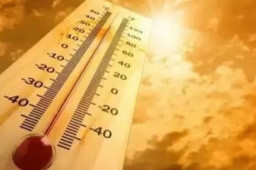 热射病死亡率最高可达80%