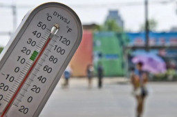 江苏有多热？蚂蚁落地活不过3秒