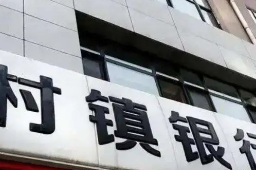河南村镇银行垫付资金来源公布