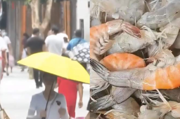 活虾从菜场拎到家被“热熟”