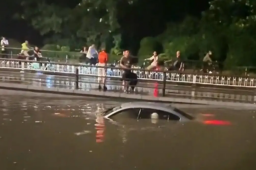 大风突袭沈阳 倒了近300棵树