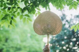 今日入伏 一年中最热时段来了