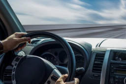 男子为省过路费拉12箱芒果走绿通