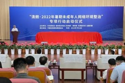 集中查处散布虚假信息等问题