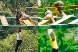 男孩玩高空项目不慎坠落