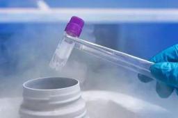 全国首例单身女性冻卵案一审败诉