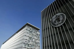 世卫针对猴痘发布最高级别警报