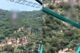 天津通报游客坠亡：景区停业整顿