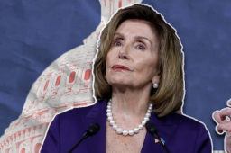 佩洛西：我的脸皮非常厚