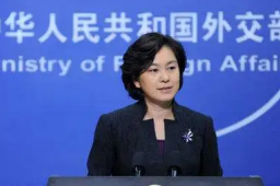 华春莹点赞台湾山东饺子馆