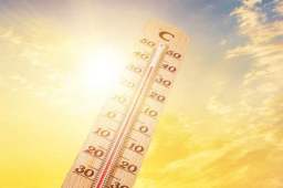 今年高温综合强度或为1961年来最强