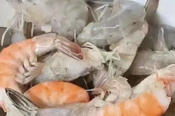 女子高温天买活虾到家熟透6只