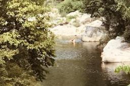 陕西溺水事故致5死 含12岁男孩