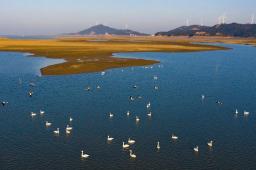 干旱致洞庭湖鄱阳湖面积缩四分之三