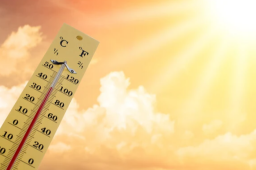 高温预报图被烫红了