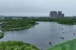 媒体：如此大费周章抓一条鱼值得吗