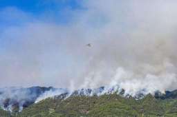 山火救援：女娃不上 20岁以下不上